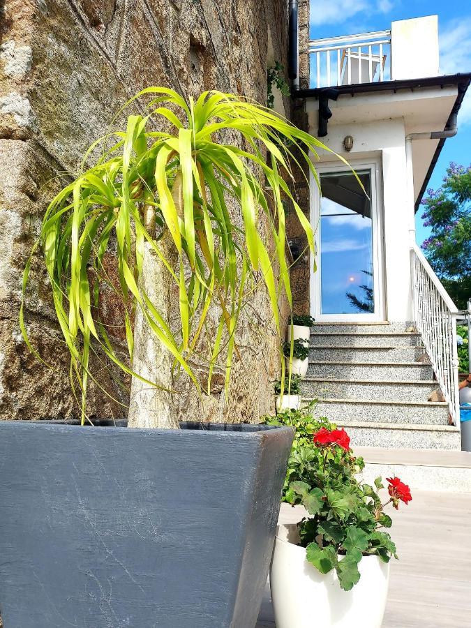 Villa Anselma, Casa Compartida Pontevedra Eksteriør billede